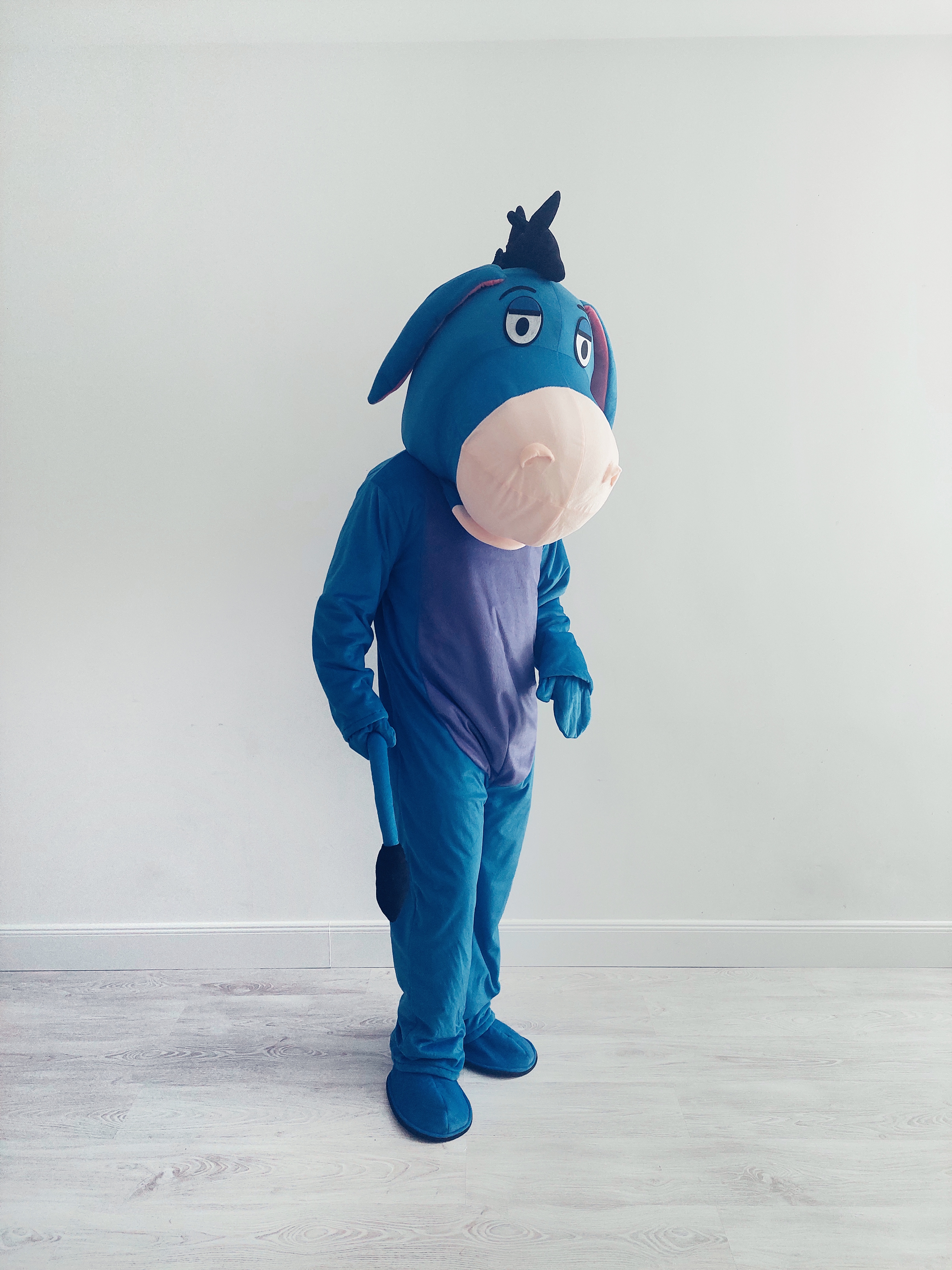 füles jelmez, micimackó jelmez